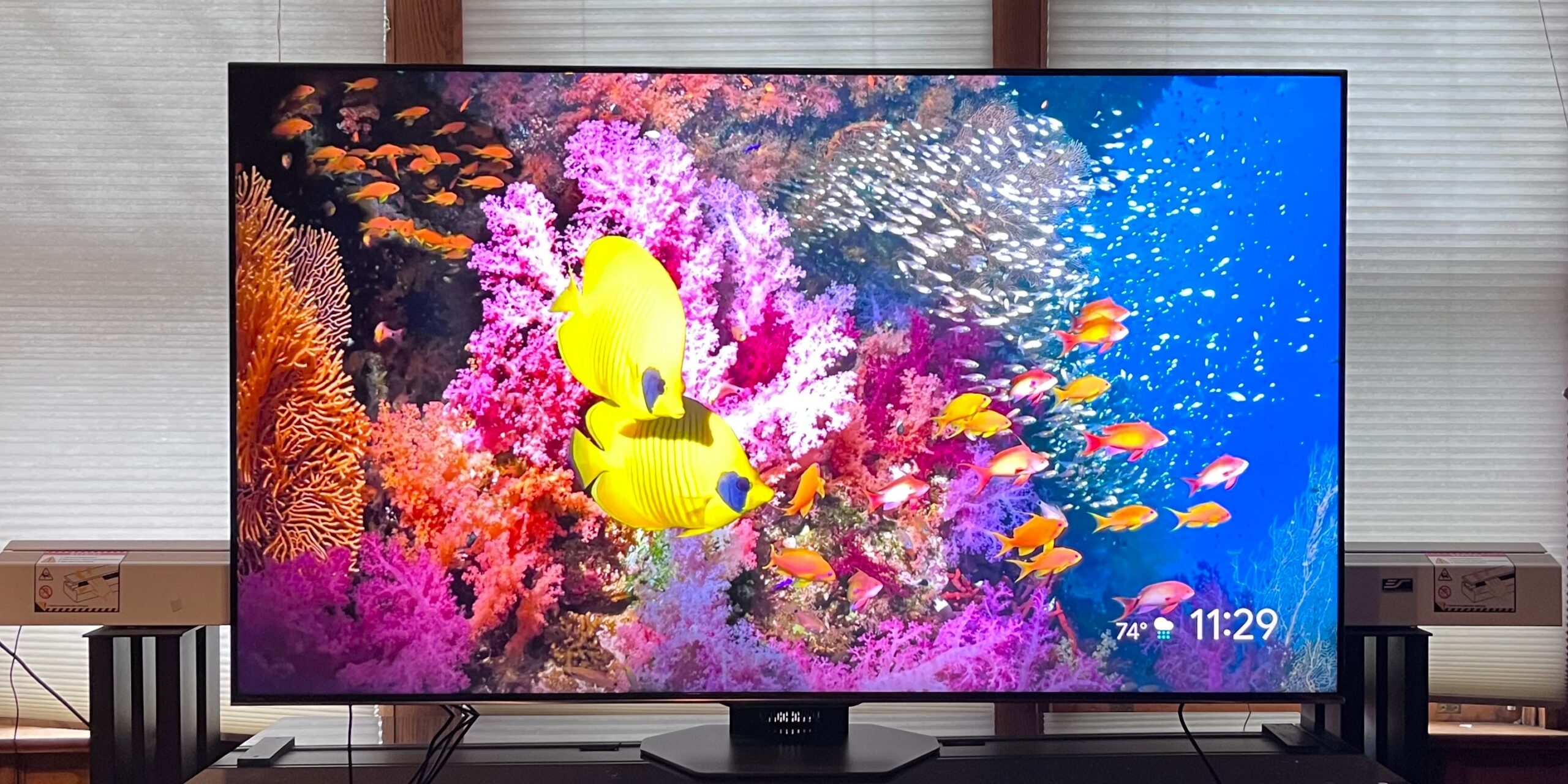 Hisense U8N Mini-LED TV showing vibrant coral reef, yellow butterflyfish, and other marine life in 4K clarity.